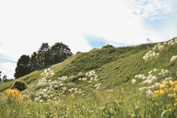 Die Burgberge von Pada