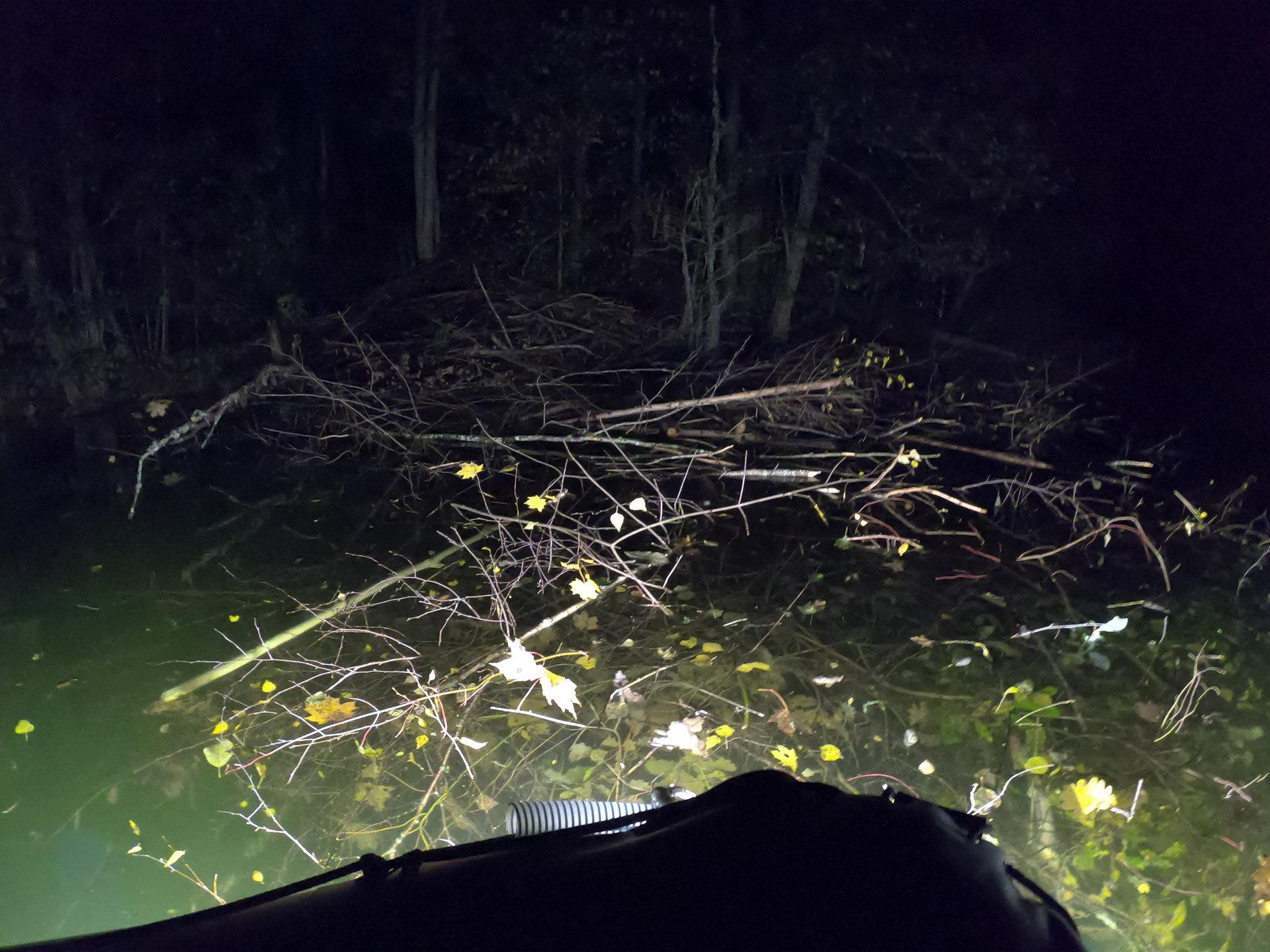 Lighted boat trip on Lake Valgjärv in Koorküla - pilt