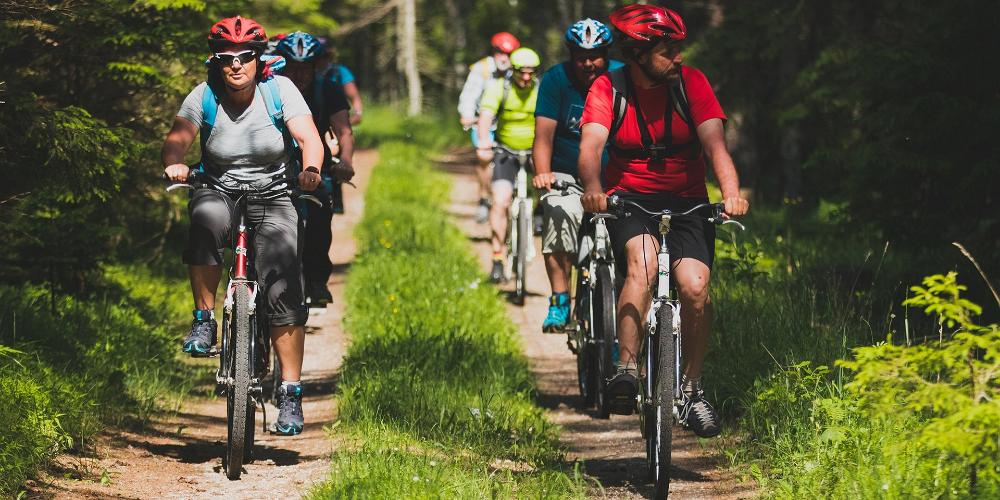 Bicycle travellers in Estonia