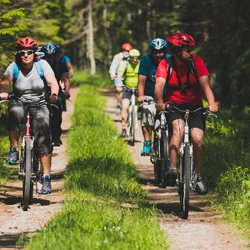 Bicycle travellers in Estonia