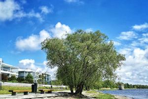 Gesundheitspfad am rechten Ufer des Flusses Pärnu, der Jaanson-Pfad 