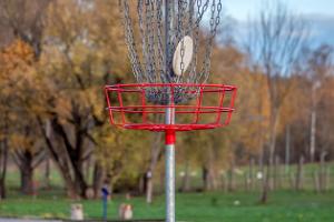 Roosi Disc Golf Park, basket