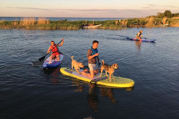 SUP board rental with pets
