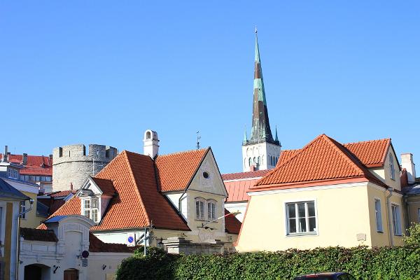 Stadsexkursion i Tallinn