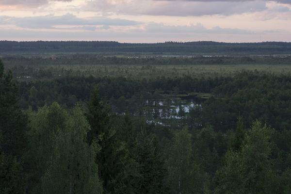 Naturleden vid sjön Paukjärv