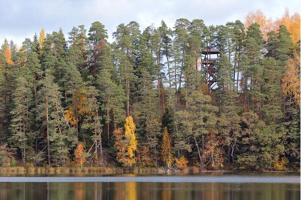 Naturleden vid sjön Paukjärv