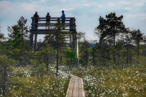 Lehrpfad Riisa im Nationalpark Soomaa
