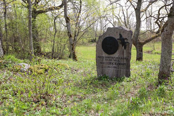 Kirbla terrace and a memorial to Professor Eerik Kumari