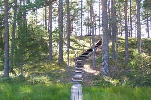 RMK Majakivi–Pikanõmme study trail