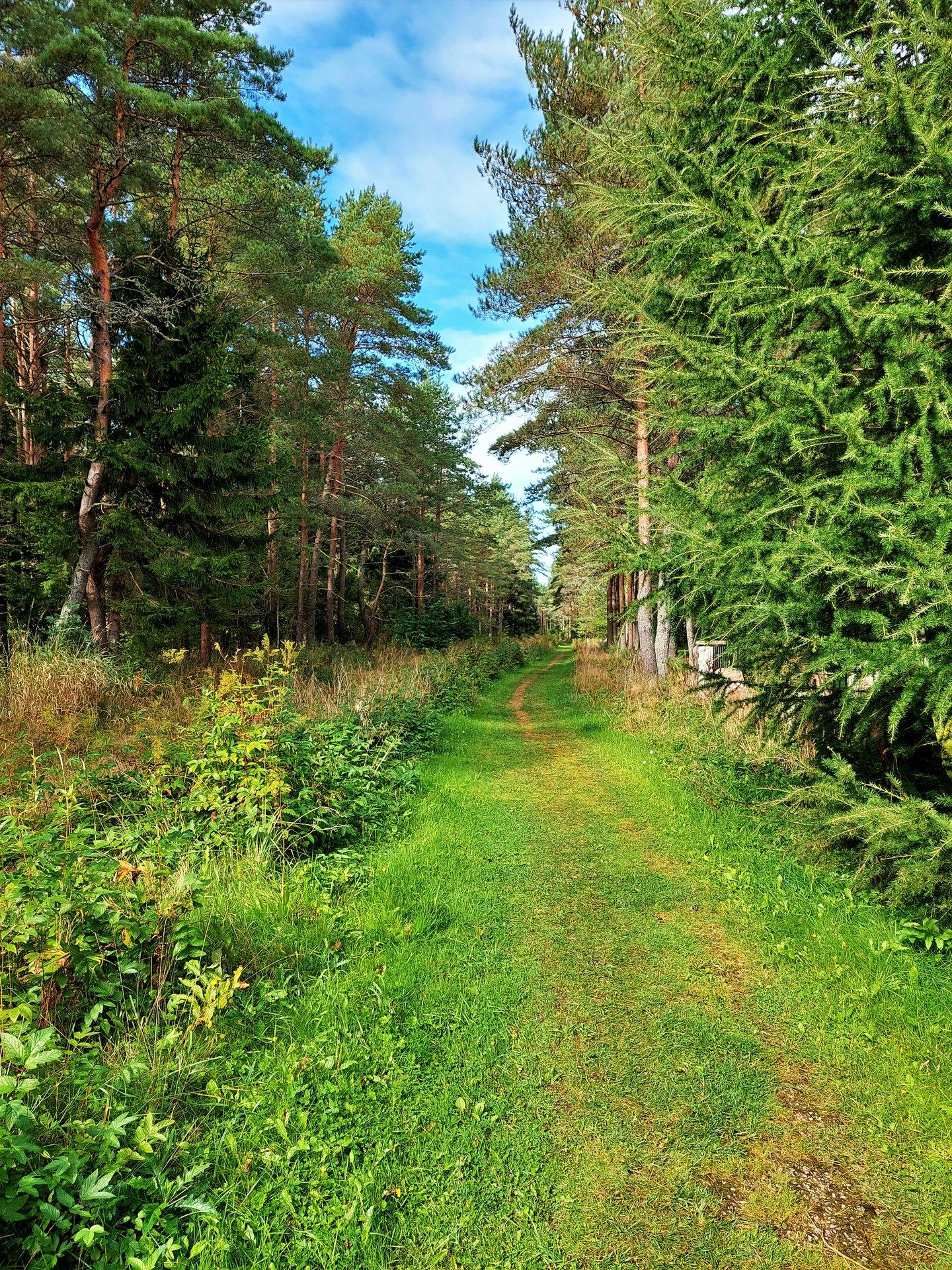 RMK Kärdla matkarada