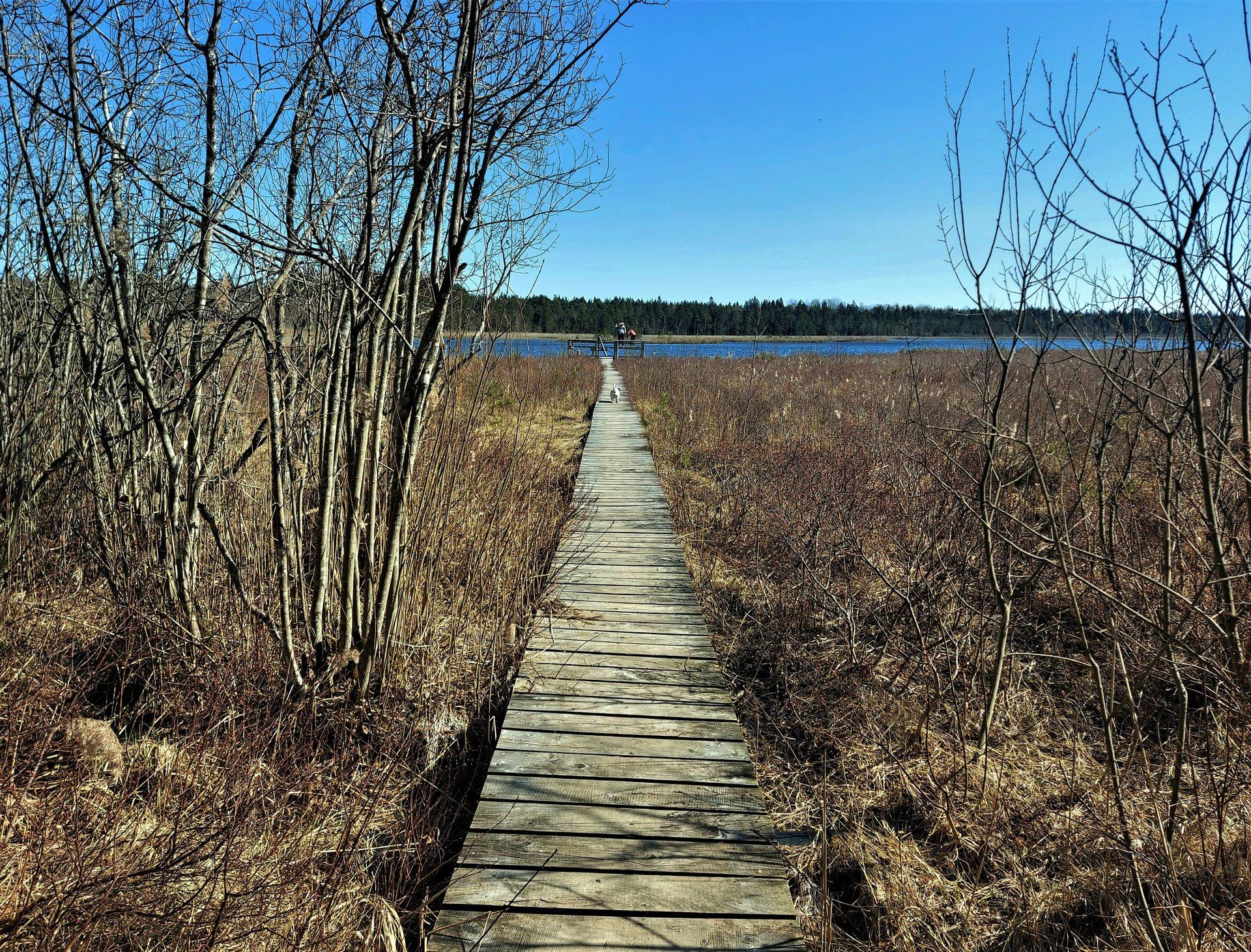 RMK Tihu study trail