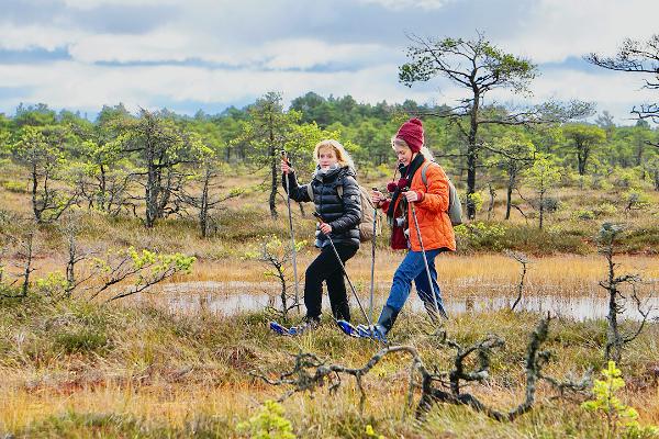 Bog shoeing in Kakerdaja bog