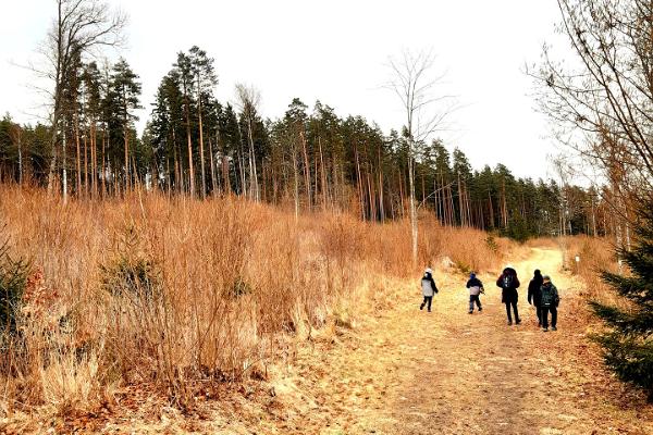 Gesundheitspfade in Kambja, in Kopsumäe