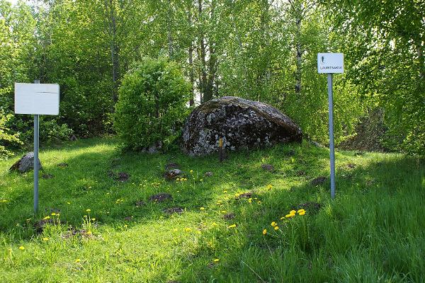 Der Stein Lauritsakivi in Kuusalu 