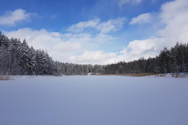 Kurtna järvestiku järv talvel