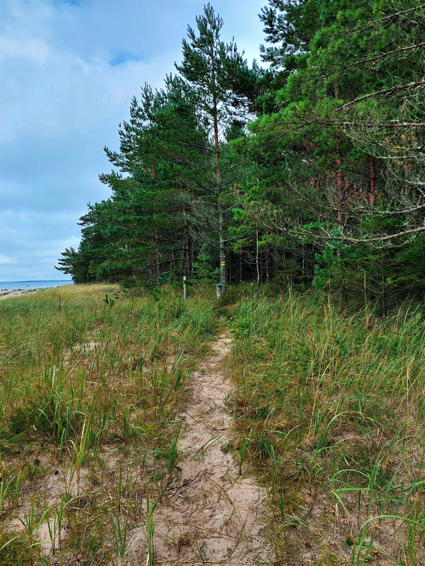 RMK Palli study trail and campsite