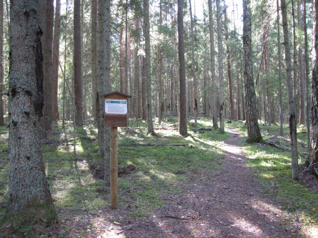 Soontaga hiking trail - pilt