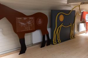 Pferdezuchtmuseum in Tori