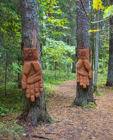 Nature Energy Trail, 'Hands of Energy' - a place to feel the power of the forest