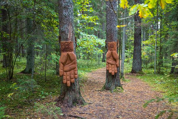 Nature Energy Trail, 'Hands of Energy' - a place to feel the power of the forest