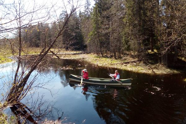 Canoe trip on River Soodla in Kõrvemaa