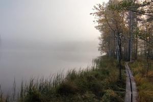 Wanderung zum Sonnenaufgang und Baden im Hochmoorsee in Põhja-Kõrvemaa