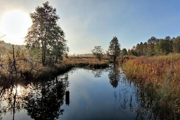 Fotvandring vid soluppgång och ett dopp i en myrsjö i nationalparken Põhja-Kõrvemaa