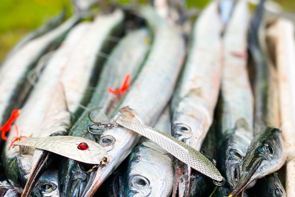 Fishing trip by boat