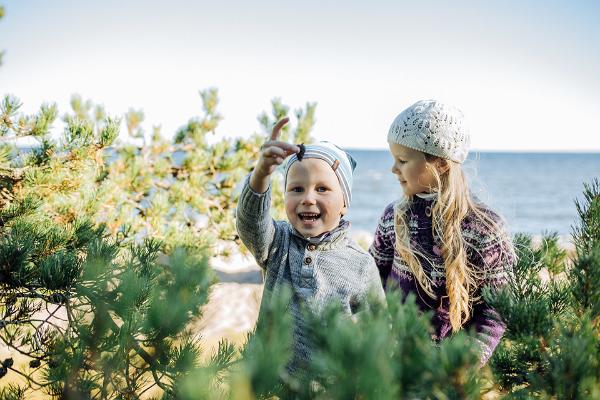 Grüne und nachhaltige Urlaubsziele in Estland – eine Rundreise