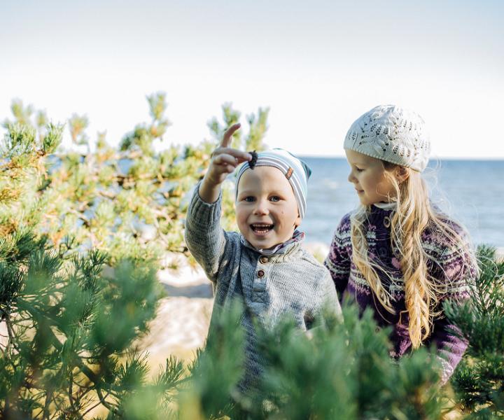 Grüne und nachhaltige Urlaubsziele in Estland – eine Rundreise
