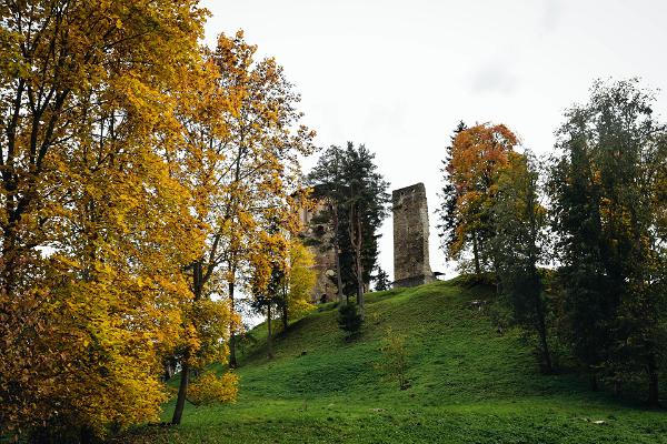 Vana-Vastseliina mõisapark