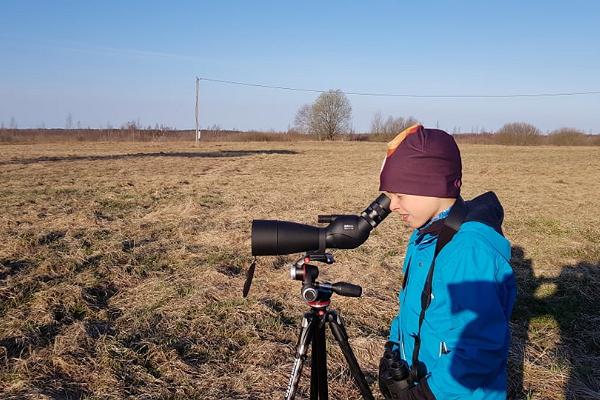 Birdwatching in Põlva County with a guide