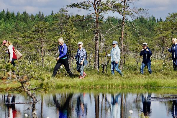 Matkajad räätsadel Viru raba lauka ääres