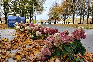 Парк на Таллиннском Певческом поле