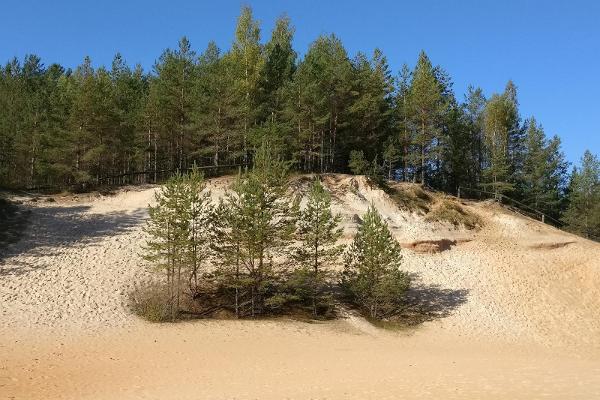 Piusa sand quarry