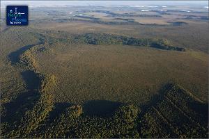 Aerial photo of the bog landscape