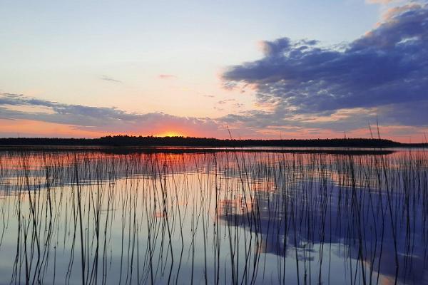 Походы на каноэ по водам Эмайыэ-Суурсоо с Nature Tours Estonia