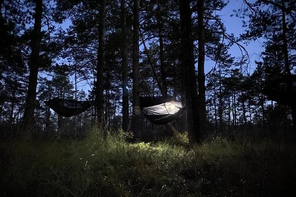 Sleepign in tree tents on a wild bog island