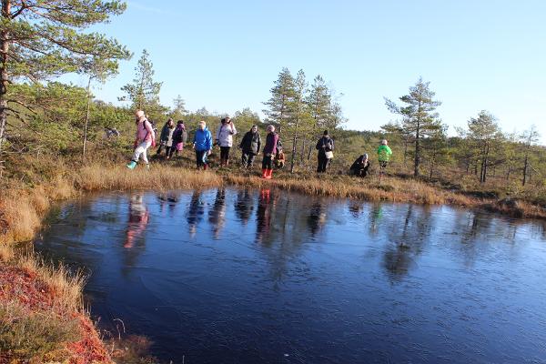 Hikes at Linnumäe Nature Farm