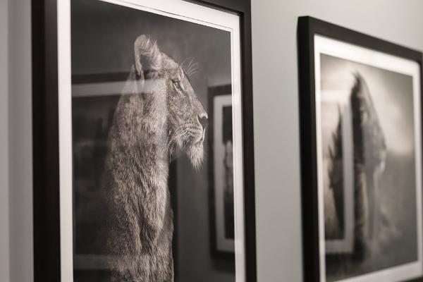 Осенняя выставка в Fotografiska: Ник Брандт. «Этот пустой мир. Мы унаследуем лишь пыль»