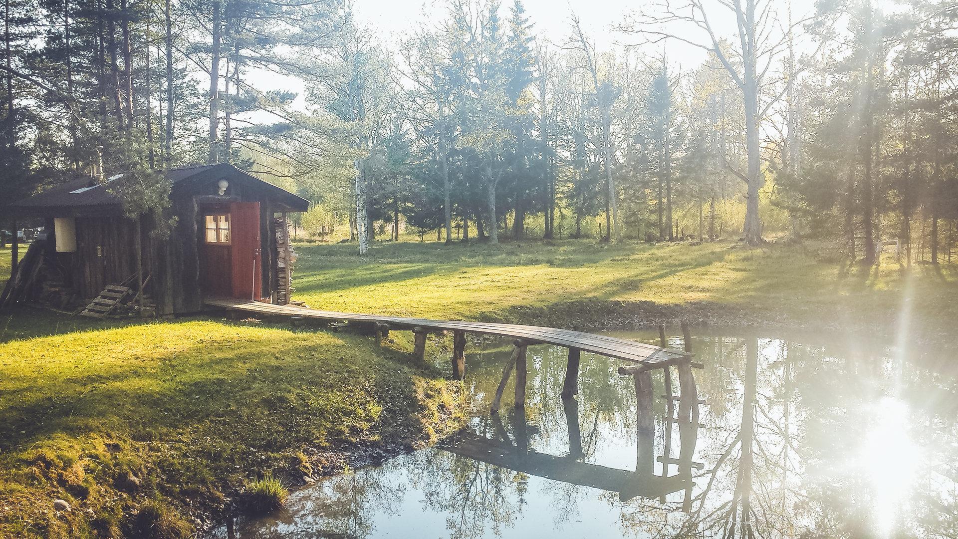 Saunaelamus Aadnieli puhkekülas