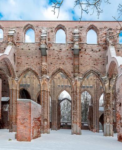 Тартуский Домский собор, зимняя изморозь