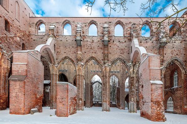 Тартуский Домский собор, зимняя изморозь