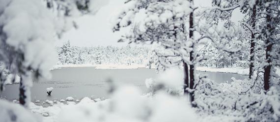 Embark on an icy adventure in Estonia