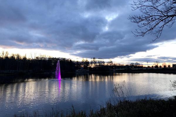 Iltanäkymä Raadin järvelle