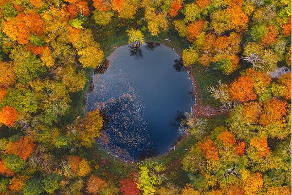 Kaali field of meteorite craters