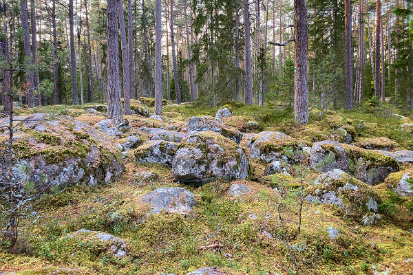 Käsmu's field of boulders