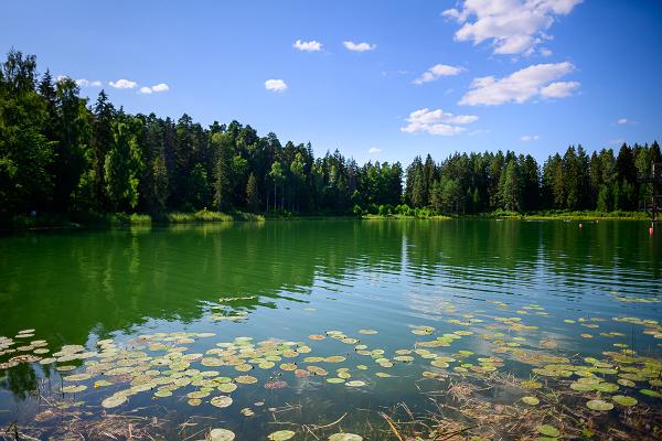 Vanamõisa järv ja rand