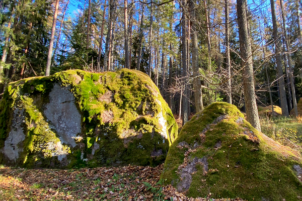 Palmse Nunnery Boulders 