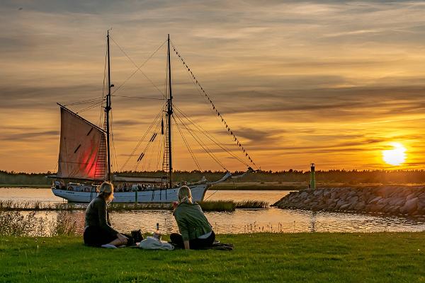 Sommargästernas segelbåtsturer till Abrö